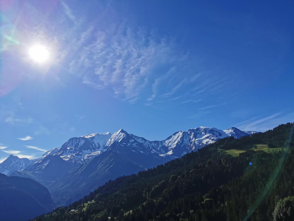 Duo Des Alpages Vue Exceptionnelle Sur Le Mont Blc Διαμέρισμα Saint-Gervais-les-Bains Εξωτερικό φωτογραφία