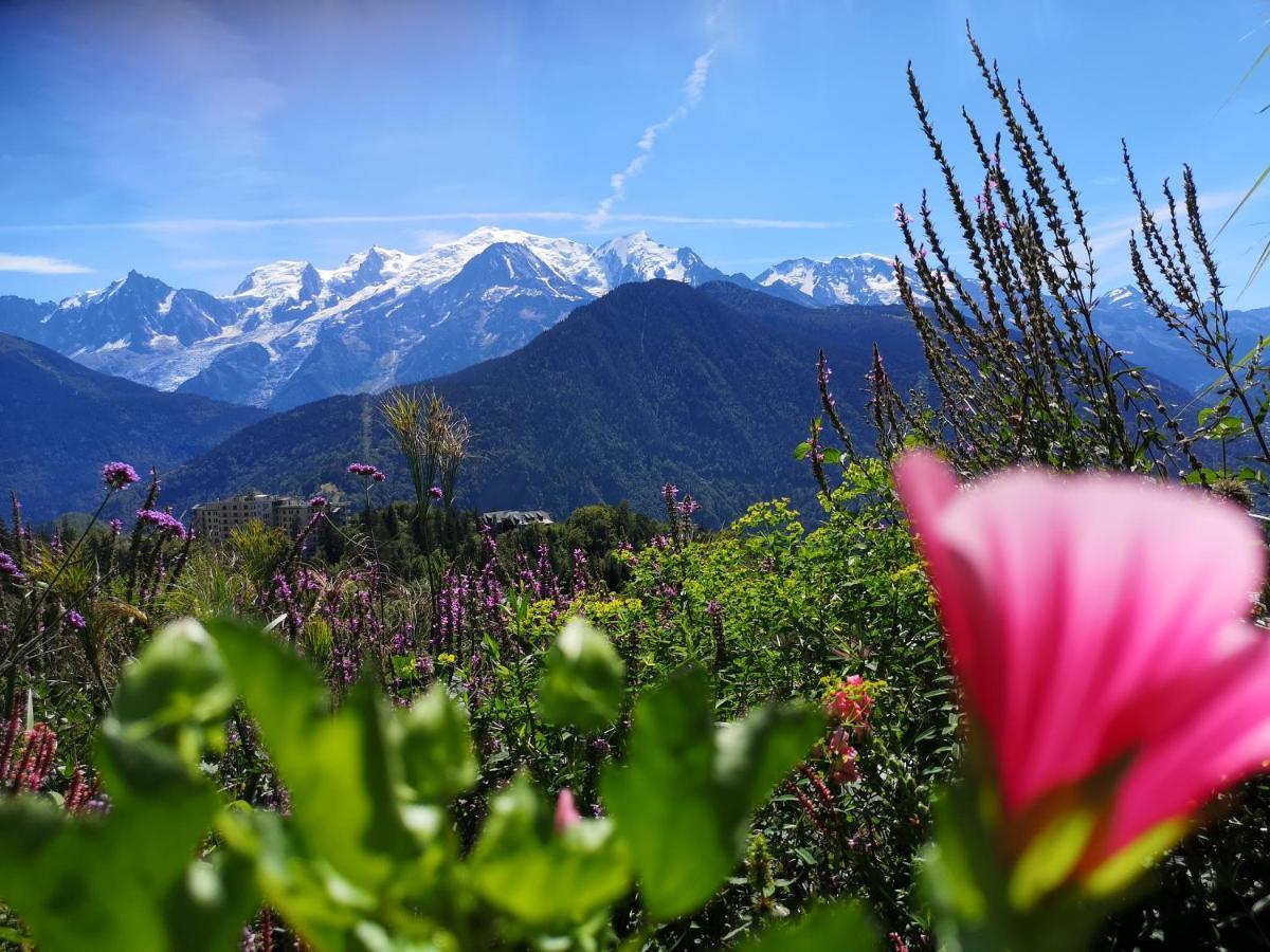 Duo Des Alpages Vue Exceptionnelle Sur Le Mont Blc Διαμέρισμα Saint-Gervais-les-Bains Εξωτερικό φωτογραφία