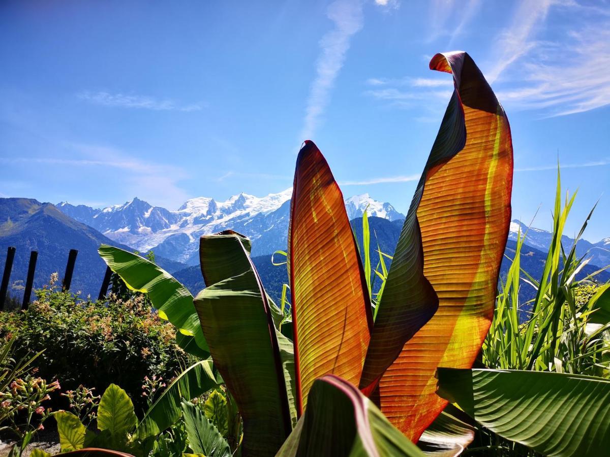 Duo Des Alpages Vue Exceptionnelle Sur Le Mont Blc Διαμέρισμα Saint-Gervais-les-Bains Εξωτερικό φωτογραφία